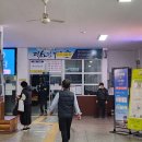 서부농협 건너편 | 2024 통영 어부장터 (11/01 금) 후기 [뚜벅이, 대중교통, 축제]