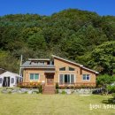 헬로우댕댕 이미지