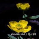 내마음의 풍차 이미지