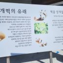 문화해설사의집(이병철생가) 이미지