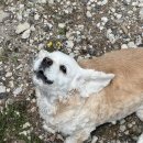 마망펜션 이미지