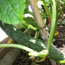 좌동경로당 이미지