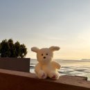 발레리조트 | [충남 보령/대천 나들이] 노을맛집 발레리조트 후기 (친절함은 덤)🌇