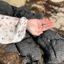 제주게스트하우스쑤기야 | 제주도 4박 5일 여행 : 금능_곽지_애월(4월의 제주도)