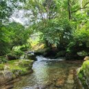 숲속의 하얀펜션 이미지