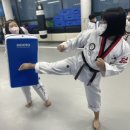 단국대 본태권도 이미지