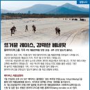 동아컨설팅