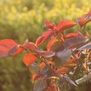 충일공조 | 보성 모은재(慕恩齋)