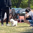 세븐일레븐(S여의나루)