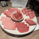 베일리펫케어 이미지