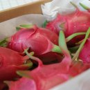 백용농장 이미지