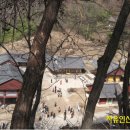 삼형제봉민박 이미지