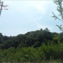 사봉면-2 이미지