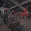 바디메이트 이미지