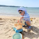 남애3리(신) 해수욕장 화장실 | 아이와 함께 가기 좋은! 강원도 모래놀이 여행 남애3리 해수욕장