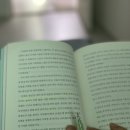 럭키지업사 네이버블로그