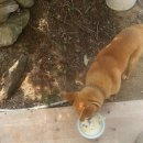 온달민박 이미지