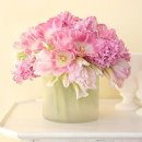 다보이는세상 이미지