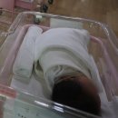 금고2리 이미지