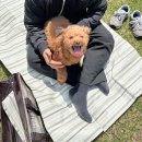 주식회사 다발로 | 젊음이 없는 것도 젊음이다