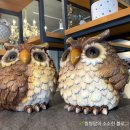 부엉이돈가스 해남점