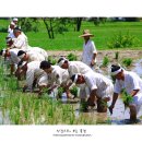 장뜰두레놀이 이미지