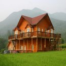 과수원속야채밭
