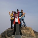 입면초등학교 이미지