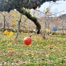 김순복 농장 이미지