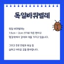 대성종합방역