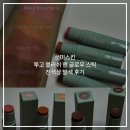 쏘미스킨 투고 블러쉬 앤 글로우 스틱 :: 쏘미 올인원 블러시 스킨 전색상 발색 후기