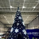 엑스포광장 야외무대 | 대전 엑스포시민광장 야외 스케이트장 눈썰매 슬로프 후기