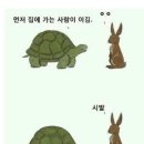 토끼와거북이 이미지