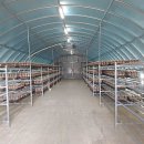 인배농장 이미지