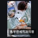 동부치과의원 네이버블로그