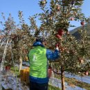 길안면행정복지센터 이미지