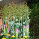 성전2호 이미지