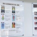 서울숲한의원 담적 검사해도 이상없다는 소화장애 한방에서는 이렇게 접근합니다