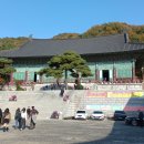 법인자연심 이미지