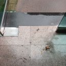 수성빌딩 | 대구 수성구 계단청소 빌딩 건물 대청소 후기