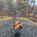 여우별 관광농원(캠핑장) | 김포 캠핑 김포봉바위농원캠핑장 — 반려견 동반 가능한 숲속 힐링장