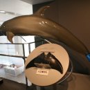 F1타이어 이미지