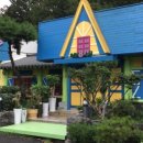 허브나무 이미지