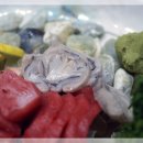 웃는돌 참치 이미지