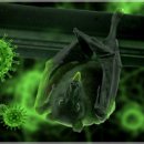 해온동물의료센터 이미지