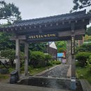 구룡포초등학교 | 1박2일 촬영지 포항 호미곶 죽도시장 호빵집 동백꽃 필 무렵 촬영지 위치 특징 방문후기