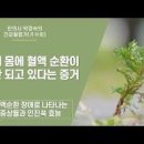 인진쑥 효능 쑥차 효과 한눈에 정리 이미지