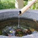 옥성농장 이미지