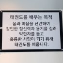 용맹한호랑이태권도장 이미지
