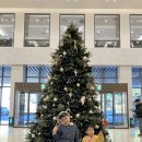 하비함미 이미지